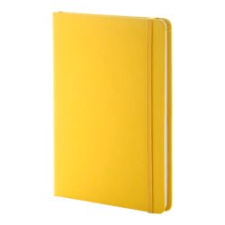AP800765-02 notes RPU