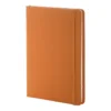 AP800765-03 notes RPU