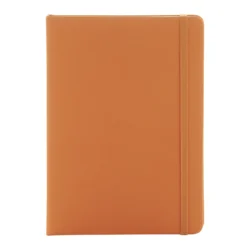 AP800765-03__A notes RPU