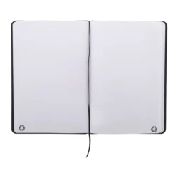 AP800765-10__B notes RPU
