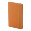 AP800766-03 notes RPU