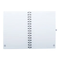 AP800769-77__B notes RPET