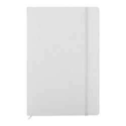 AP808172-01 notes RPU