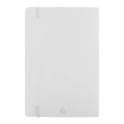 AP808172-01__C notes RPU