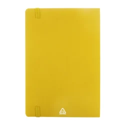 AP808172-02__C notes RPU