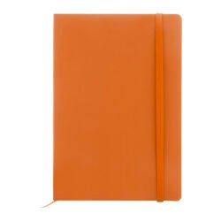 AP808172-03 notes RPU