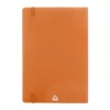 AP808172-03__C notes RPU