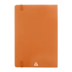 AP808172-03__C notes RPU