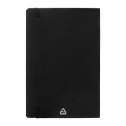 AP808172-10__C notes RPU