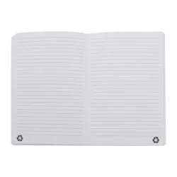 AP808172-77__B notes RPU