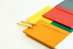 AP808172-77__DG notes RPU