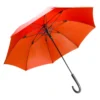 AP808289-05__A parasol RPET
