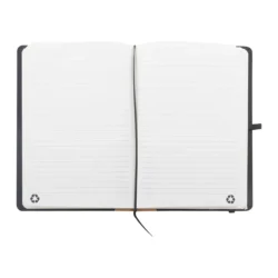 AP808294-10__C Notes RPET