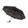 AP808406__A parasolka