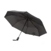 AP808406__A parasolka