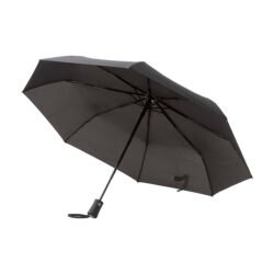 AP808406__A parasolka