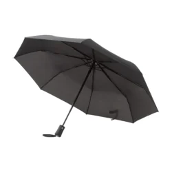 AP808406__A parasolka