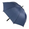 parasol