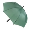 AP808409-07 parasol