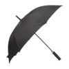 AP808409-10__A parasol