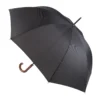 AP808410-10 parasol