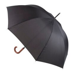 AP808410-10 parasol