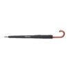 AP808410-10__B parasol