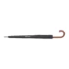 AP808410-10__B parasol