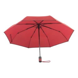 AP808412-05__A parasol