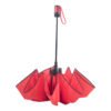AP808412-05__B parasol