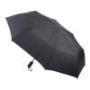 AP808412-10 parasol