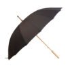 AP808416-10__A parasol