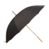 AP808416-10__A parasol