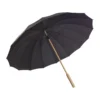AP808416-10__B parasol