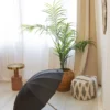 AP808416-10__DG2 parasol