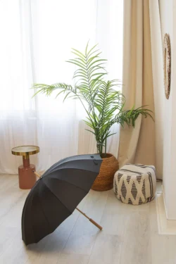 AP808416-10__DG2 parasol