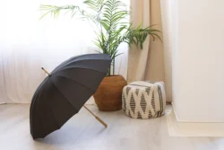 AP808416-10__DG3 parasol