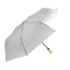 AP808417-01 parasol RPET