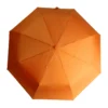 AP808417-03__A parasol RPET