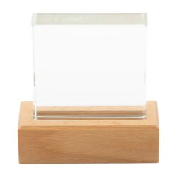 AP808551__B Trofeum