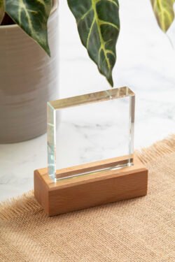 AP808551__DG1 Trofeum