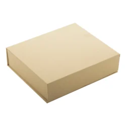 AP808552__E Trofeum