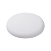 AP809503-01 frisbee