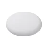 frisbee