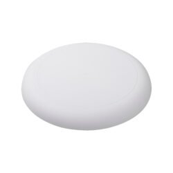 AP809503-01 frisbee