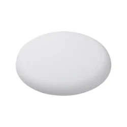 frisbee