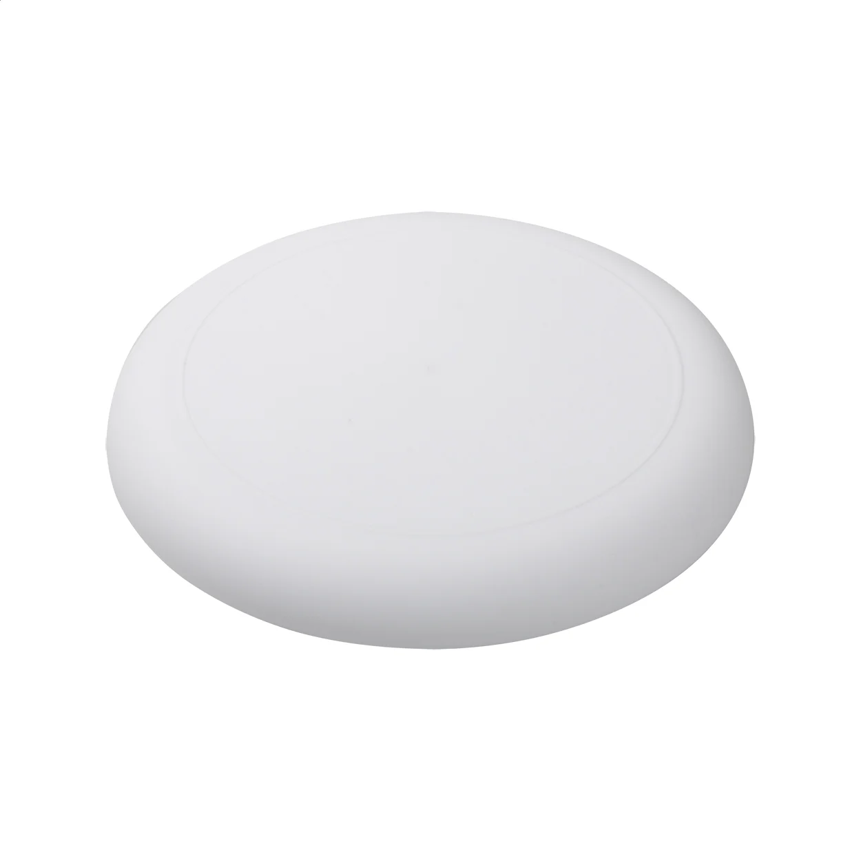 AP809503-01 frisbee