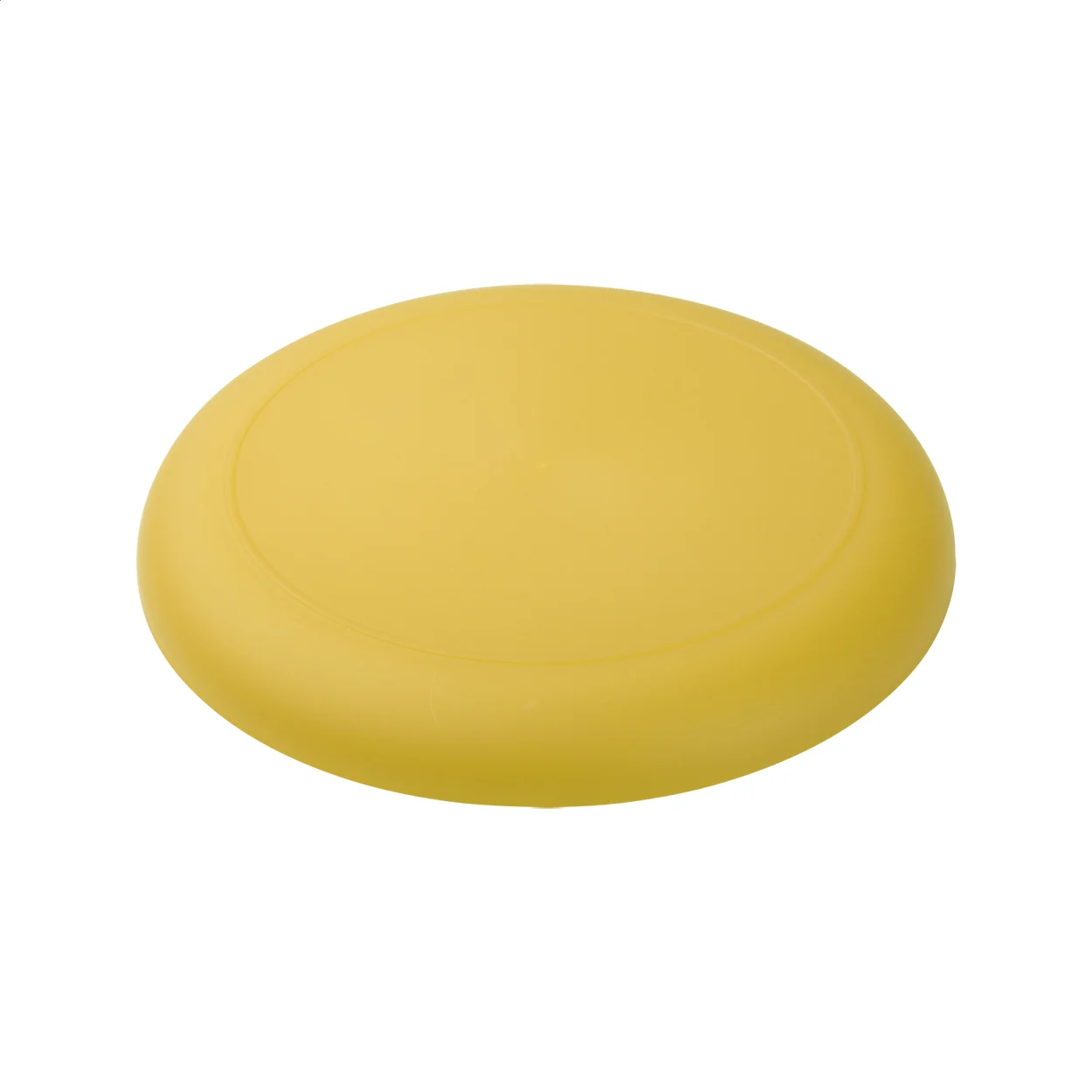 AP809503-02 frisbee