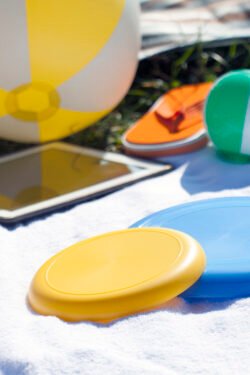 AP809503-02__DG1 frisbee