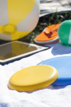 AP809503-02__DG1 frisbee